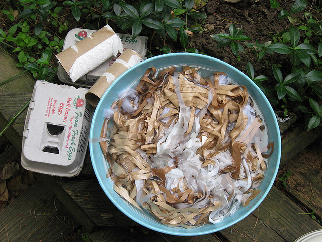 3606251960_6fa71943d4_z