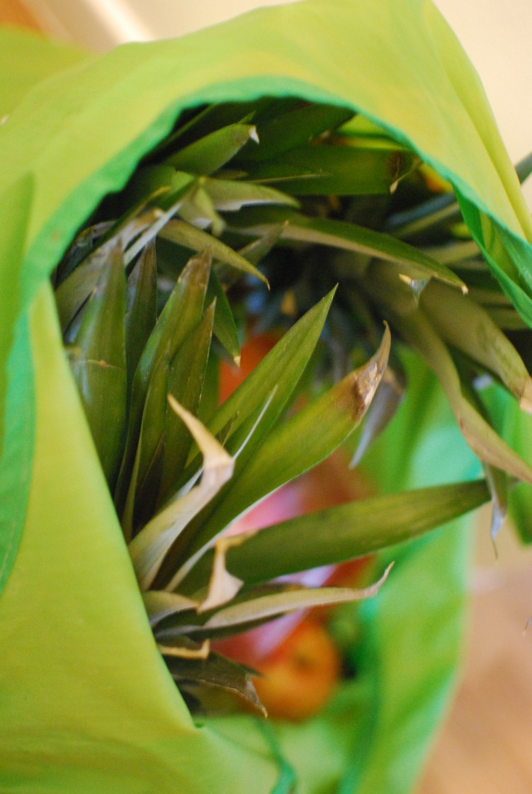 Søppelfangsten kan lett bli eit festmåltid saman med gode vener. Foto: Kristine Ullaland