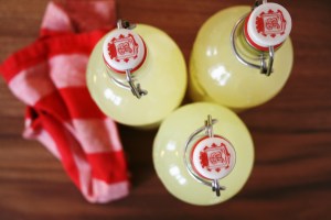 Grønare kvardag_Bokashi serum1_DIY_Kristine Ullaland