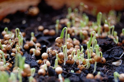 3966038306_126ef8c6cf_z